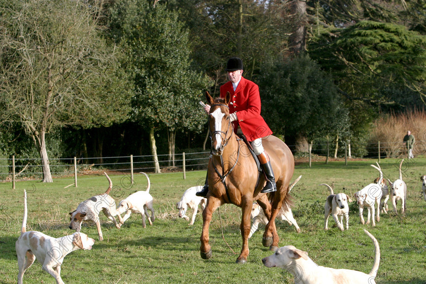 249 4934 
 Sidney Bailey as the longest serving huntsman of the VWH hunt 
 Keywords: horses, animals, foals, cute,