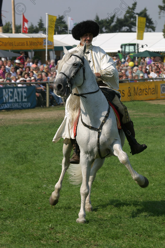 10080042 
 Gerard Naprous in display on Spanish hosre 
 Keywords: horses, animals, foals, cute,