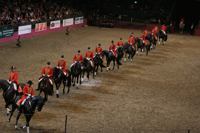 IMG 2141 
 Hannovarian State Stud from Germany in Dressage Quadrille Display 
 Keywords: InternationalDressage, Dressage, horses, competition, equine, sport,