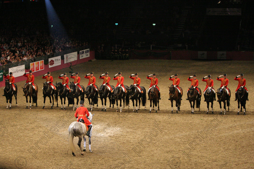 IMG 2172 
 Hannovarian State Stud from Germany in Dressage Quadrille Display 
 Keywords: InternationalDressage, Dressage, horses, competition, equine, sport,