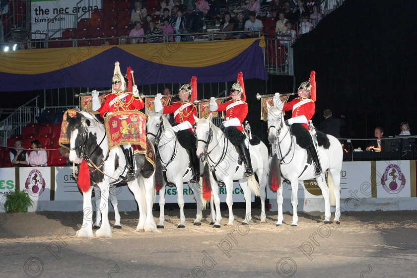 HOYS Press 2006 004 
 Drum horse of Blues and Royals with trumpeters 
 Keywords: horses, animals, foals, cute,