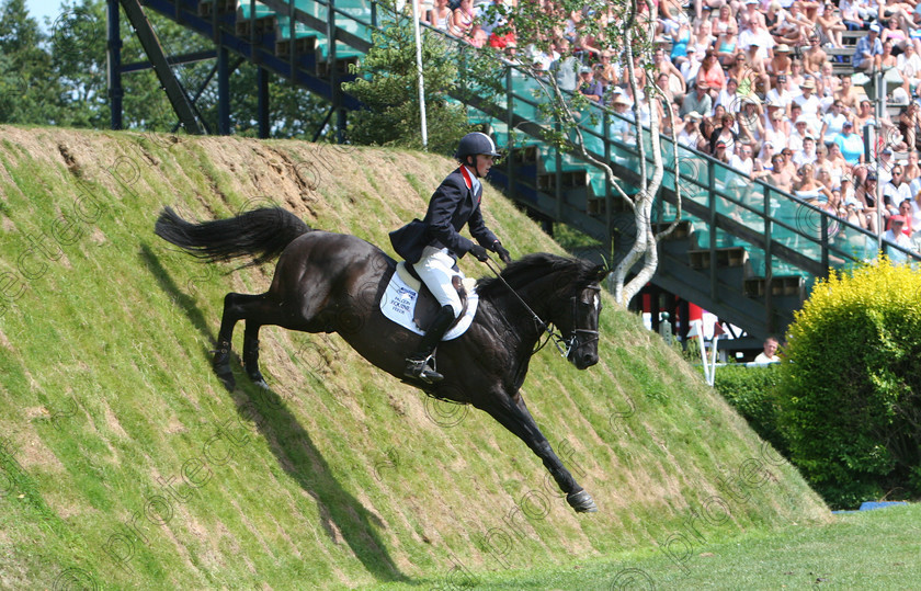 456 5694 
 Ben Maher riding Give Me Remus 
 Keywords: International Show Jumping, horses, equine, Hickstead, showjumping, sport, horse competition