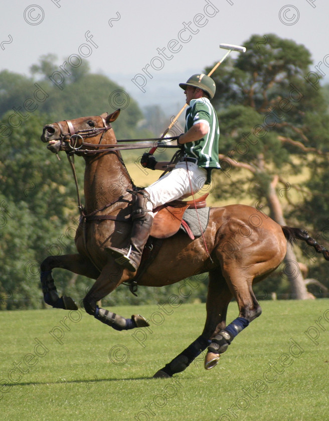 234 3426 
 Polo at Cirencester Park in action 
 Keywords: horses, animals, foals, cute,