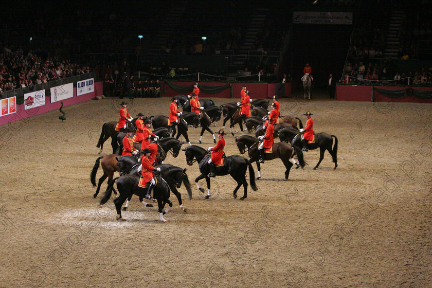 IMG 2143 
 Hannovarian State Stud from Germany in Dressage Quadrille Display 
 Keywords: InternationalDressage, Dressage, horses, competition, equine, sport,