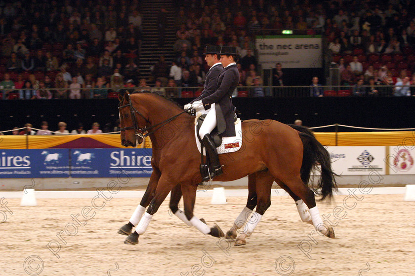 367 6728 
 Pas de Deux in perfect harmony 
 Keywords: InternationalDressage, Dressage, horses, competition, equine, sport,