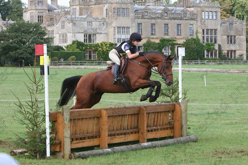 IMG 0463 
 At Charlton Park UK 
 Keywords: Eventing, horse, competition, equine, Trials, Hunter Trials