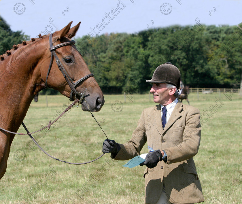 352 5228. 
 Coppelia and Tony Pellet 
 Keywords: horses, animals, foals, cute,