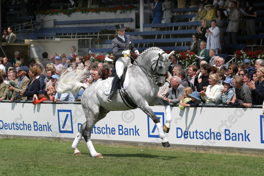 110 1098 
 M.Theodopolou German dressage rider 
 Keywords: InternationalDressage, Dressage, horses, competition, equine, sport,