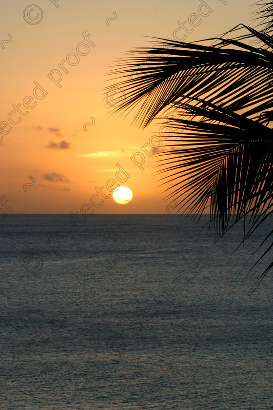 403 0359 
 Sunset 
 Keywords: Travel, Carrabean, Antigua, Aerial photographs, coastal, birds, sunset, seascape, pelican, nelson, dramatic scenary