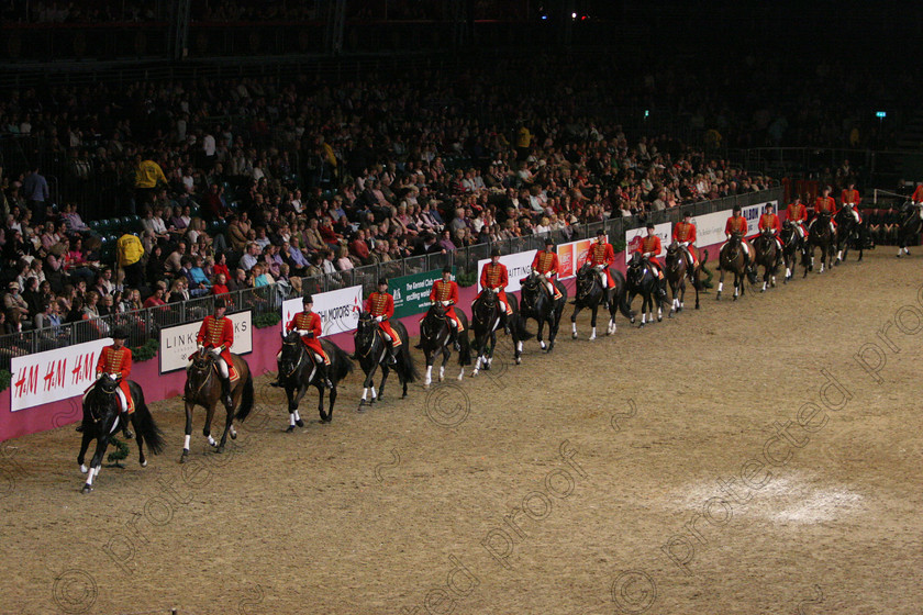 IMG 2122 
 Hannovarian State Stud from Germany in Dressage Quadrille Display 
 Keywords: InternationalDressage, Dressage, horses, competition, equine, sport,